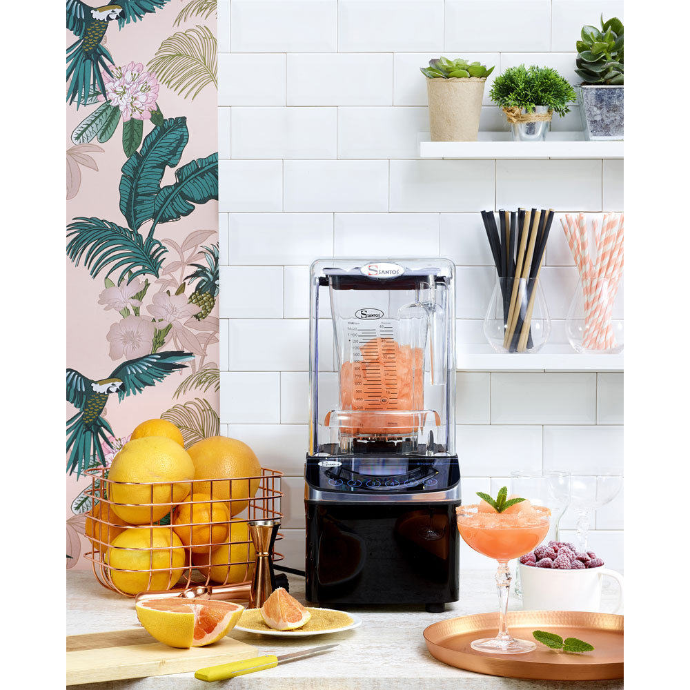 blender profesjonalny z osłoną wyciszającą, Santos, V 2,4l 3