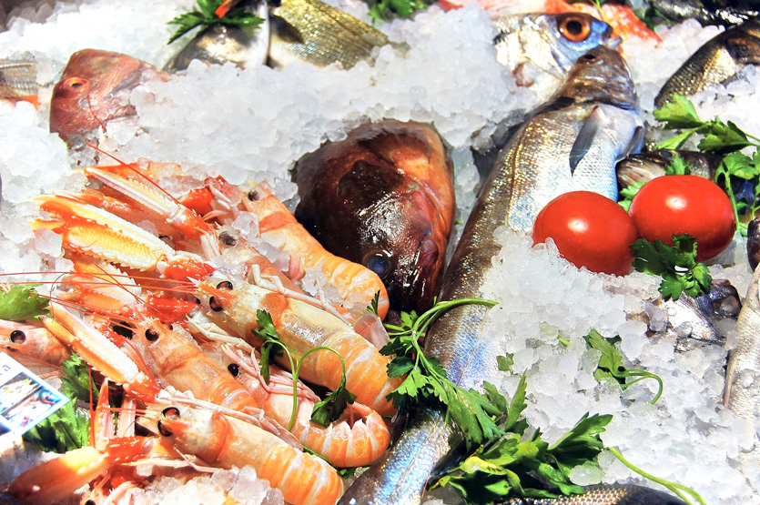 Kostkarka do kruszonego lodu 2 Kostkarka do kruszonego lodu 2